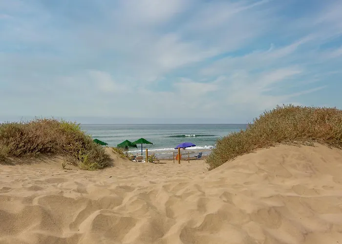 Oleholidays 315 Romana Playa Primera Linea Playa